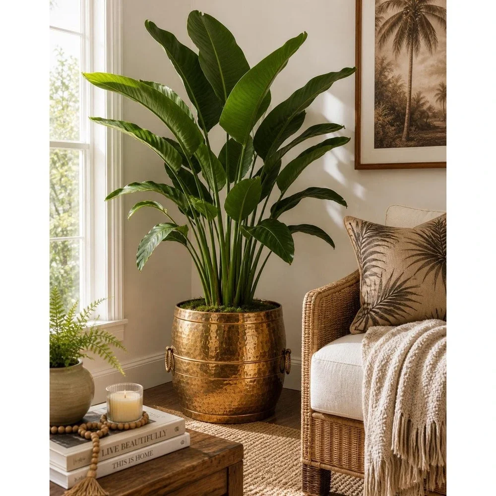 Hammered Brass Planter Large | Boho Luxe Indian Vessel, Rustic Modern Home Decor